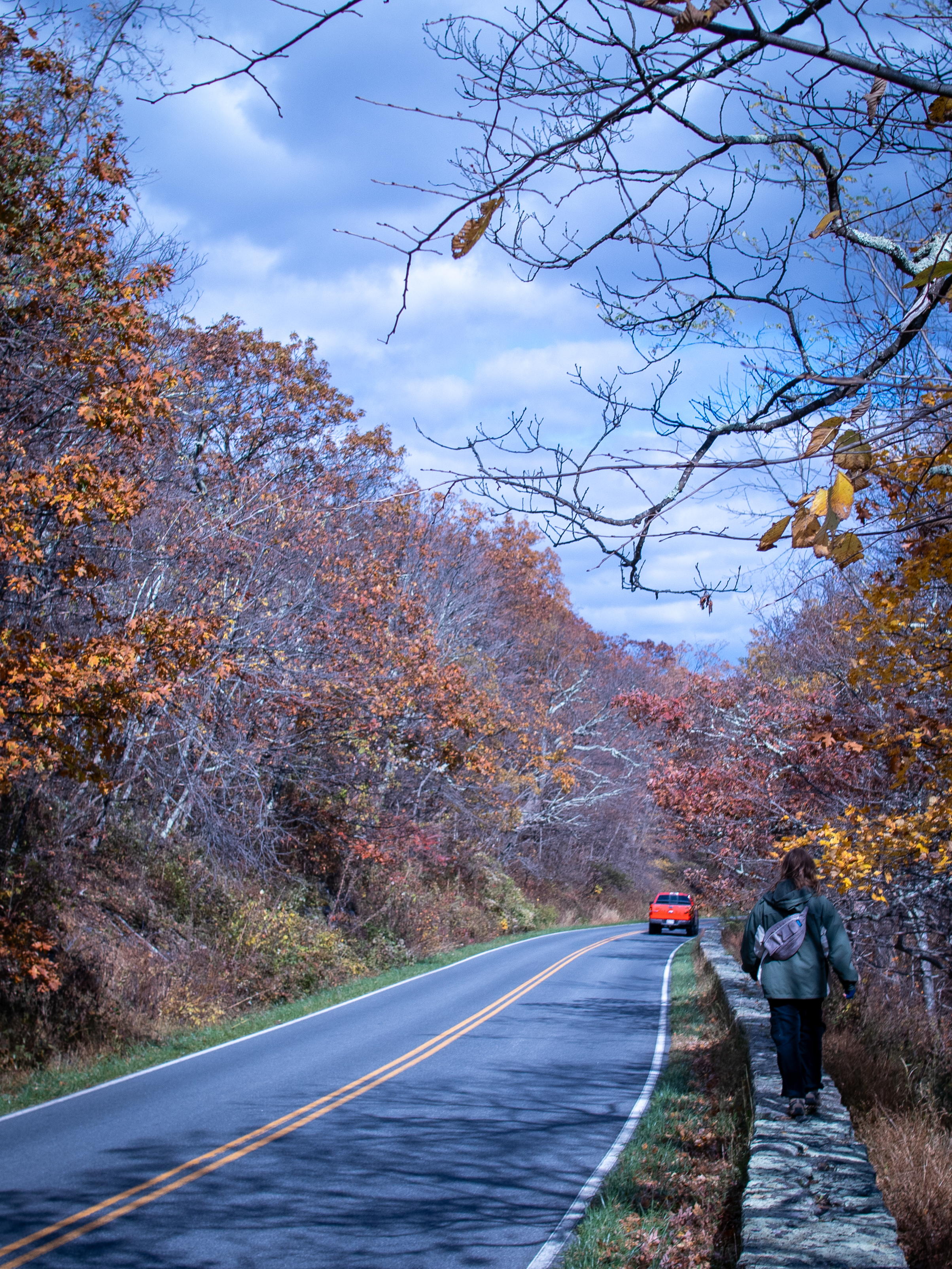 wide shot friends hiking