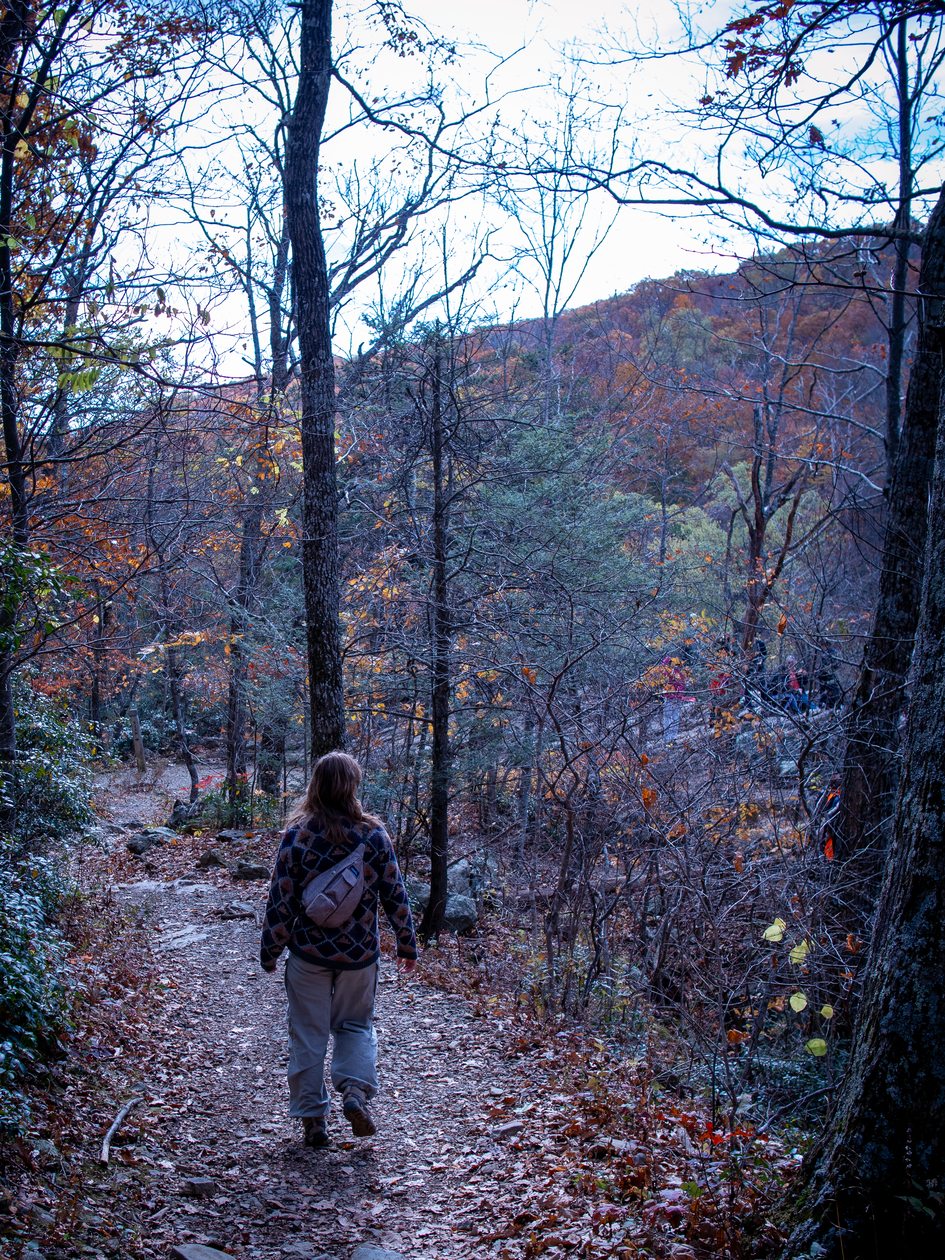 girl hiking away